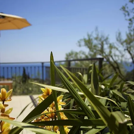 Bed and Breakfast Il Parco 4*