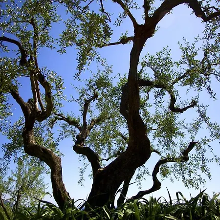 Il Parco מונטרוסו אל מארה